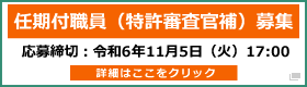 任期付職員（特許審査官補）募集